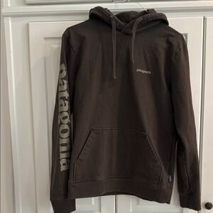 Patagonia AS Men's Dark Brown Hoodie